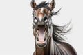 funny laughing horse with twisted mouth on white background Royalty Free Stock Photo