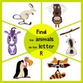 Funny learning maze game, find all 3 cute wild animals with the letter P, forest raccoon, Rhino from Savannah and domestic sheep.