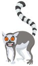 Funny lemur cartoon animal character