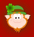 Funny Leprechaun Face Royalty Free Stock Photo