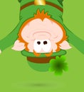 Funny Leprechaun Green Background