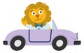 Funny lion in cartoon car. Wild animal travel