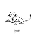 Funny lion