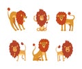 Funny lions in various actions set. Cute wild circus african animal standing, roaring, meditating vector illustration