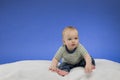 Funny little baby boy, sitting on the white blanket, studio shot, isolated on blue background Royalty Free Stock Photo