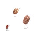 Funny little birds made of a green ormer shell, with sketchily drawn legs and beak