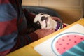 Funny little Boston Terrier puppy with her head resitng on a senior mans lap at ktchen table. She is looking up