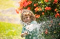 Funny little boy playing with garden hose in backyard. Child having fun with spray of water on yard nature background Royalty Free Stock Photo