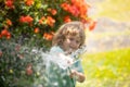 Funny little boy playing with garden hose in backyard. Child having fun with spray of water on yard nature background Royalty Free Stock Photo