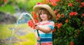 Funny little boy playing with garden hose in backyard. Child having fun with spray of water on yard nature background Royalty Free Stock Photo