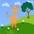 Funny little donkey on flower field