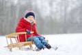 Funny little girl having fun with a sleigh in beautiful winter park. Cute child playing in a snow. Royalty Free Stock Photo