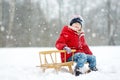Funny little girl having fun with a sleigh in beautiful winter park. Cute child playing in a snow. Royalty Free Stock Photo