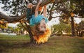 Funny little kid enjoying summer in a garden. child climbing the tree. Kids playing outdoor.