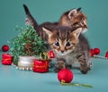 Funny little kittens with handmade Christmas tree and balls