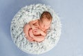Funny little newborn with crossed legs sleeping in basket Royalty Free Stock Photo
