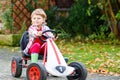 Funny little preschhool boy having fun and driving pedal race car in home's garden. Active games for children in Royalty Free Stock Photo