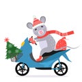 Funny little rat in santa claus costume rides a moped with a christmas tree and a full bag of gifts Royalty Free Stock Photo