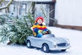 Funny little smiling kid boy driving toy car with Christmas tree. Royalty Free Stock Photo