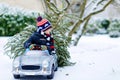 Funny little smiling kid boy driving toy car with Christmas tree. Happy child in winter fashion clothes bringing hewed Royalty Free Stock Photo