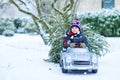 Funny little smiling kid boy driving toy car with Christmas tree. Royalty Free Stock Photo