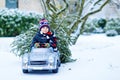 Funny little smiling kid boy driving toy car with Christmas tree. Royalty Free Stock Photo