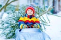 Funny little smiling kid boy driving toy car with Christmas tree. Royalty Free Stock Photo