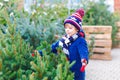 Funny little smiling kid boy holding Christmas tree on market. Happy healthy child in winter fashion clothes choosing Royalty Free Stock Photo