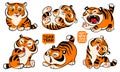 Funny little tiger cubs. Symbol of the Chinese New Year
