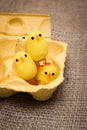 Funny little toy chicken in egg box Royalty Free Stock Photo