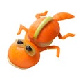 Funny lizard made of orange