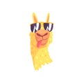 Funny llama character in sunglasses, cute alpaca animal cartoon vector Illustration