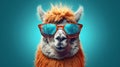 Funny llama wearing orange sunglasses on blue background. 3d rendering