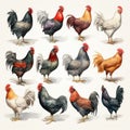 Funny Looking Chickens Watercolor Clipart on White Background AI Generated