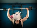 Funny man in comical mask doing sport exercise