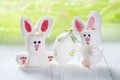 Funny marshmallow rabbits with Easter egg, sweet bunnies on a green background Royalty Free Stock Photo