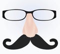 Funny mask. glasses, nose and mustache