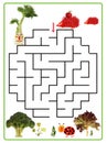 Funny maze game for Preschool Children.