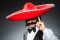 Funny mexican with sombrero