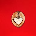Funny Minimalistic Saint Valentine Day concept, open half of walnut with core looking like heart or owl