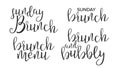 Funny Modern Calligraphy Of Brunch Word Vector