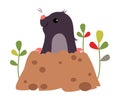 Funny Mole as Forest Animal Peeping Out from Earth Hole Vector Illustration