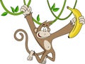 Funny monkey with banana. Royalty Free Stock Photo