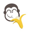 Funny monkey eating bananas