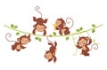 Funny monkey on liana. Cute monkeys hang on vine, tropical exotic wild animals banner. Rainforest childish characters Royalty Free Stock Photo