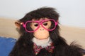 Funny monkey Royalty Free Stock Photo
