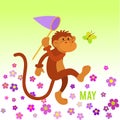Funny monkey preys on butterfly Royalty Free Stock Photo