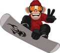 Funny Monkey Snowboarder