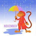 Funny monkey with an umbrella in the rain