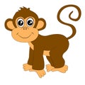 Funny monkey on white background Royalty Free Stock Photo